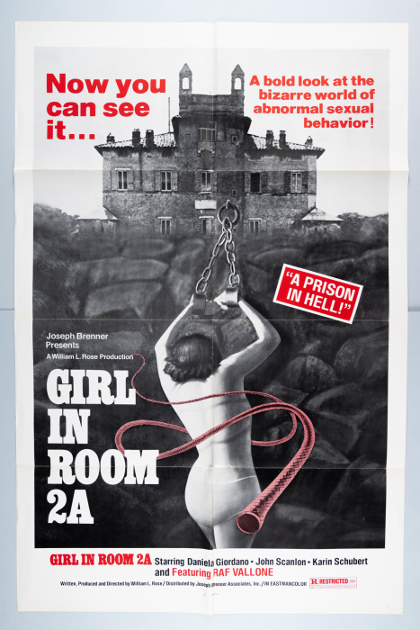 The Girl in Room 2A / La casa della paura - US One-Sheet